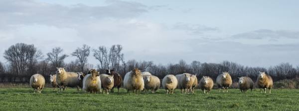 Photograph Gert Van Den Bosch We Come In Peace on One Eyeland